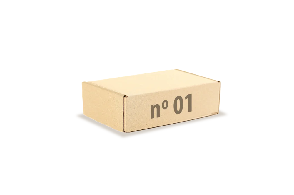 Caixa E-commerce/Correio Nº 1