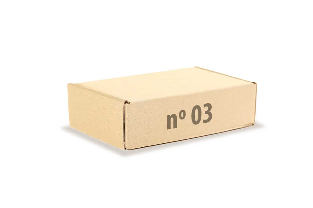 Caixa E-commerce/Correio Nº 3