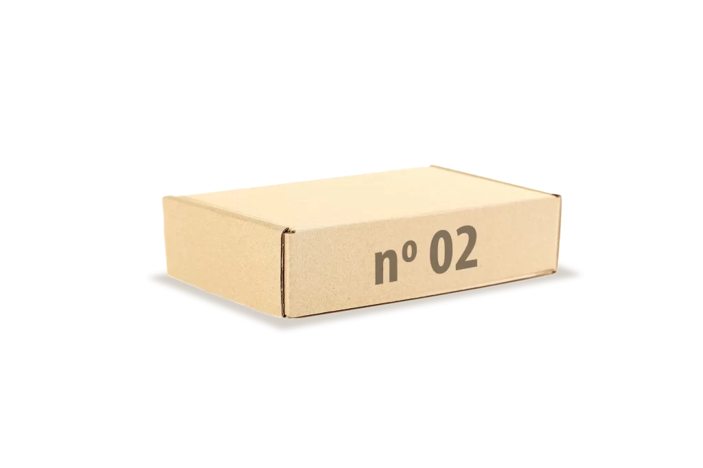 Caixa E-commerce/Correio Nº 2